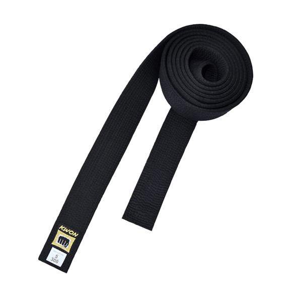 Kwon Taekwondo Master Black Belt