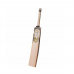 CA Gold 20K Cricket Bat