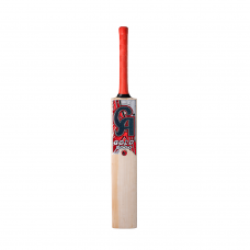 CA Gold 5000 Cricket Bat