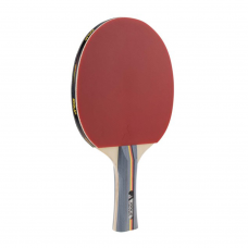 Joola Team School Table Tennis Racket