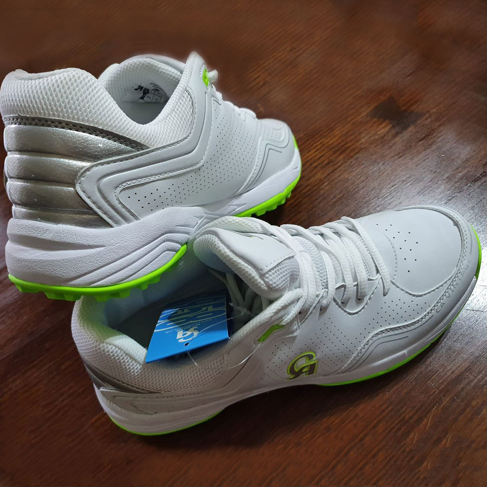 ca gripper shoes