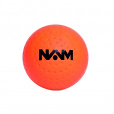 Nam Soft Ball