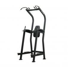 FFitTech Vertical Knee Raise & Chin Stand (FS70B)