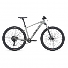 Giant Talon 2 29er Mountain Bike 2021-Concrete