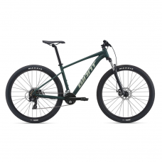 Giant Talon 29 4 Mountain Bike 2021-Trekking Green