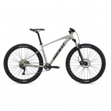 Giant Talon 1 29er Mountain Bike 2021-Desert Sage