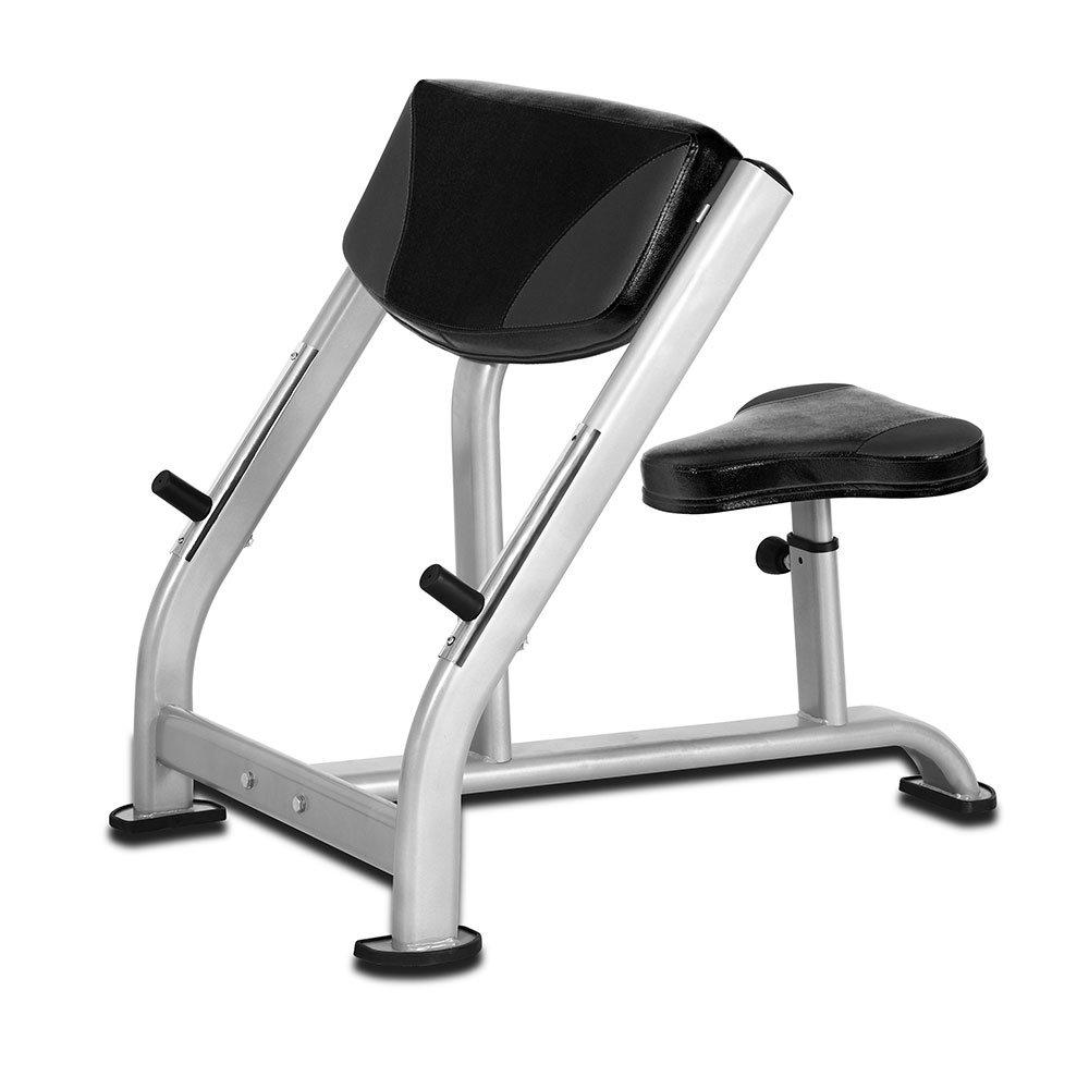 Daily Youth Preacher Curl Bench 1533 Thesportstore Pk