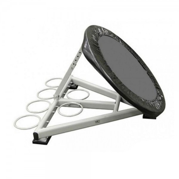 LiveUp Medicine Ball Rebounder