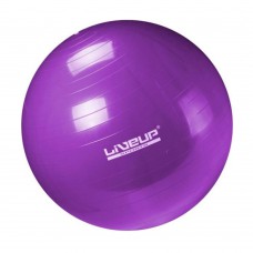 LiveUp Anti Burst Gym Ball - 65 cm
