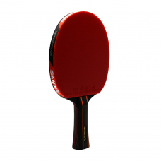 Sanwei Taiji 610 Professional Table Tennis Racket