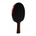 Sanwei Taiji 610 Professional Table Tennis Racket