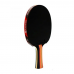 Sanwei Taiji 810 Professional Table Tennis Racket