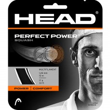 Head Perfect Power Squash Racket String