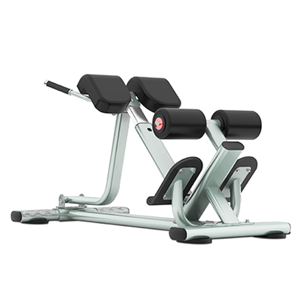 Daily Youth Roman Bench Back Extension Gc108 Thesportstore Pk