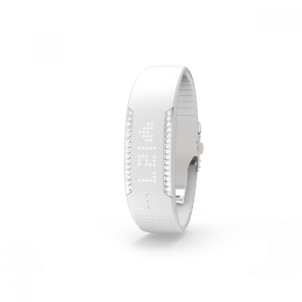 polar loop