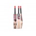 HS 2 Star Cricket Bat HS 2 Star Cricket Bat