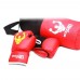 BoxerPro Children Boxing Set