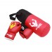 BoxerPro Children Boxing Set